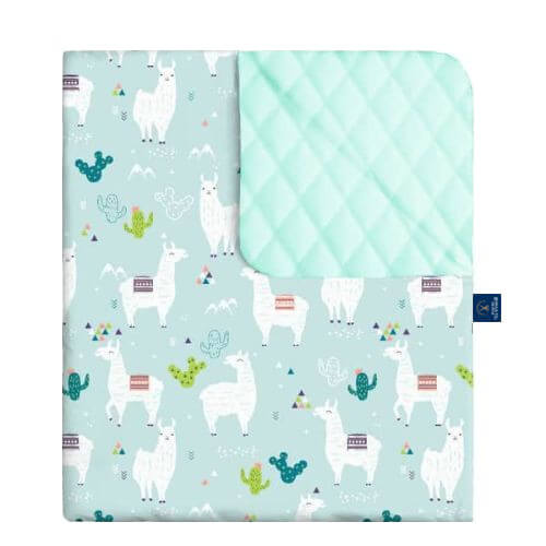 cacti kocyk velvet (13).jpg