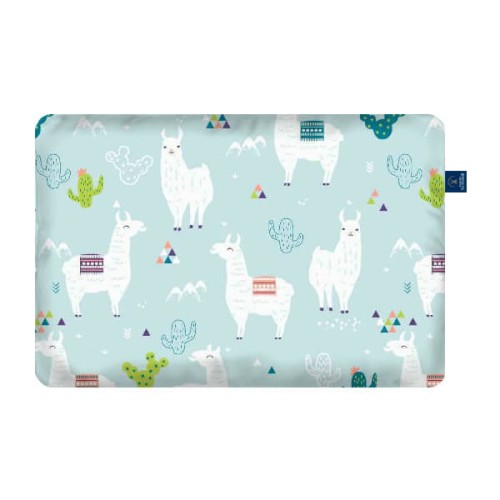 cacti poduszka prostokątna.jpg