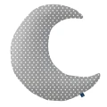 dots ksiezyc.jpg