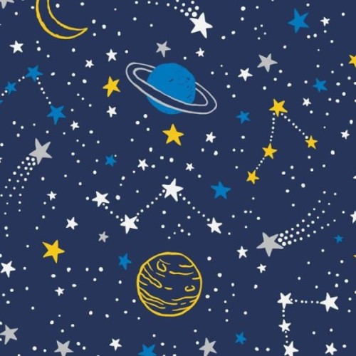 cosmos.jpg