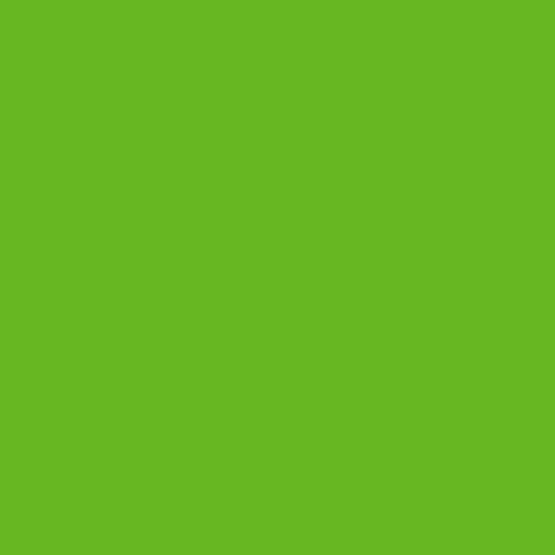 lime.jpg