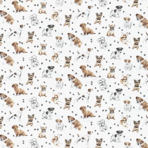 puppies.jpg