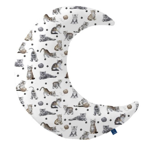 cats ksiezyc bawelniany.jpg