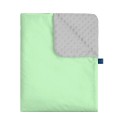 celadon kocyk minky 2 .jpg