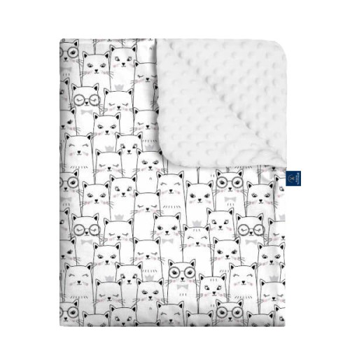 kitten kocyk minky 1.jpg