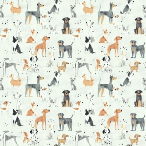dogs nowe.jpg