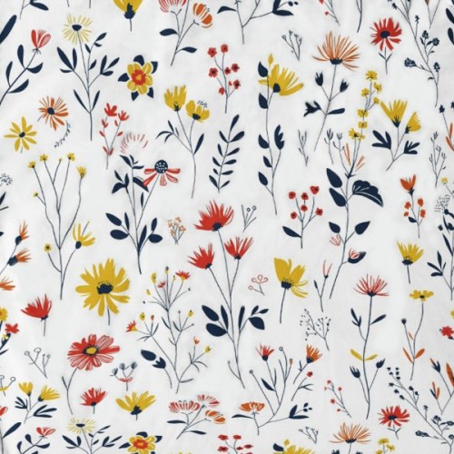 garden nowe.jpg