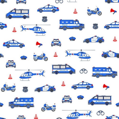 police nowe.jpg